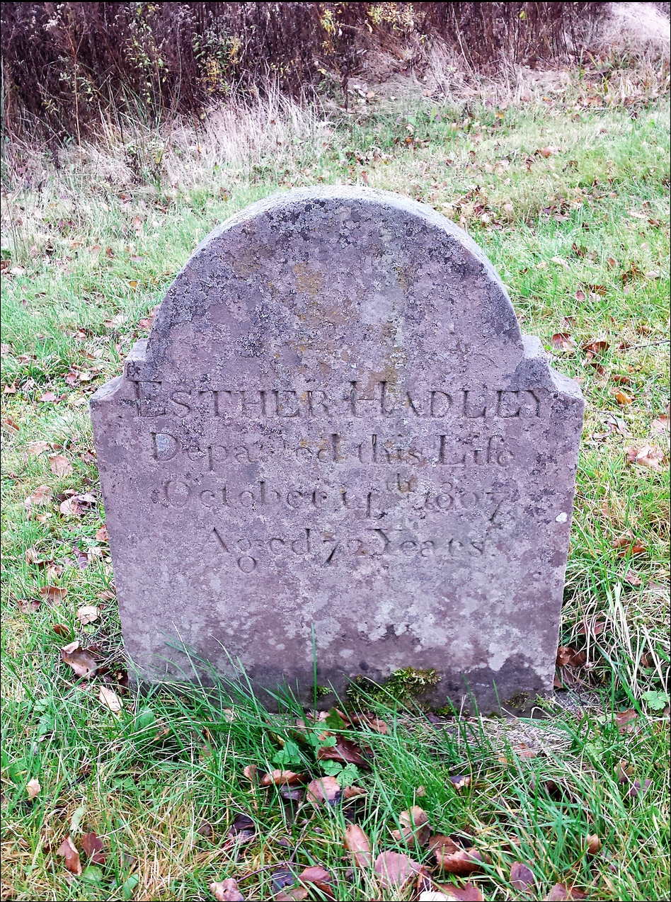 Headstone Ester -Tulttle-Hadley