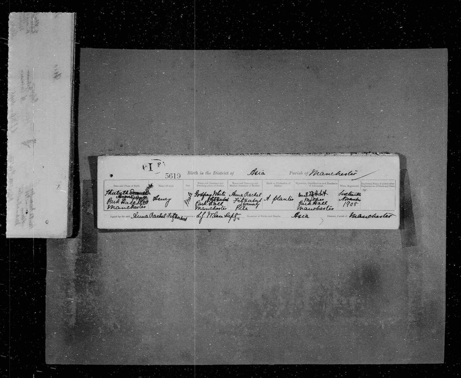 Henry Fitzherbert_birth_Cert.jpg