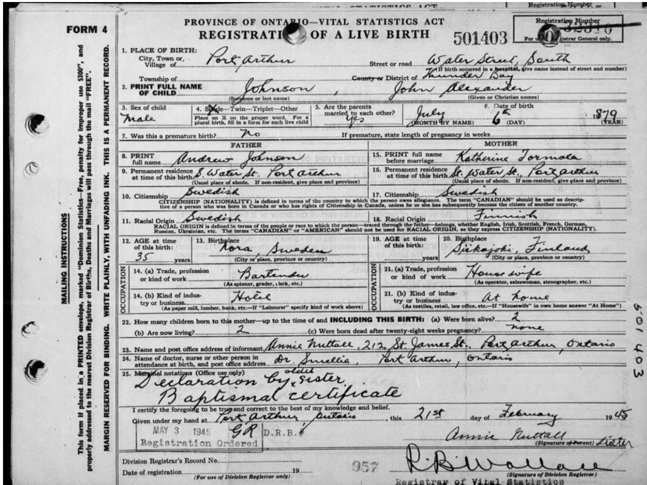 John Alexander Johnson Birth Registration