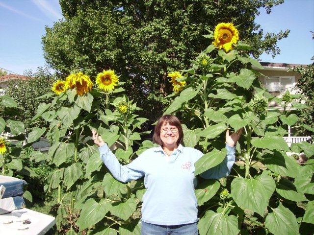 Me& my sunflowers O) (2).jpg