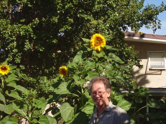 Wayne & sunflower.jpg