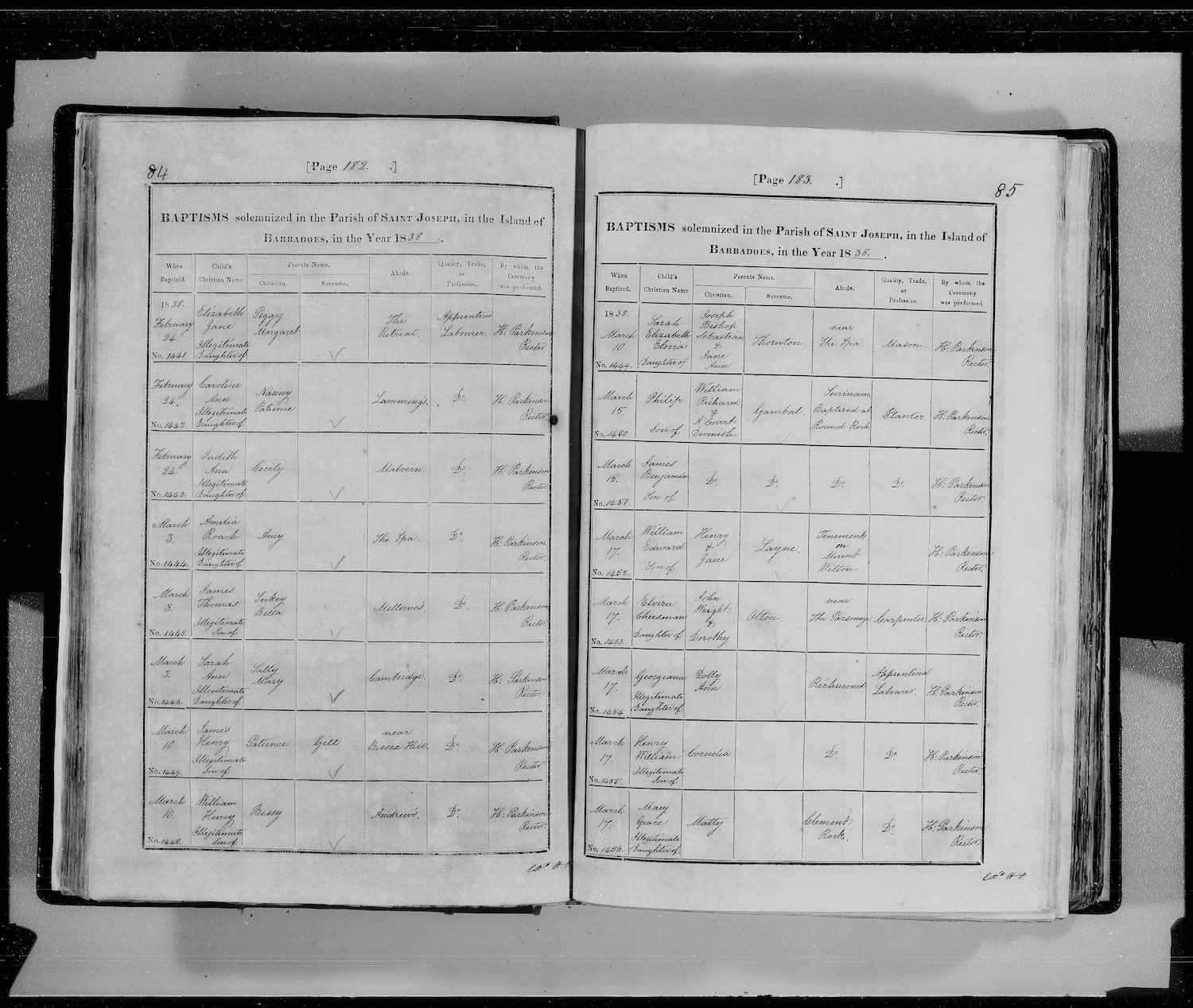 sarah-elizabeth-elvira-thornton-baptism-1838.jpg